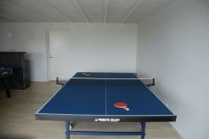 table tennis luxury holiday home